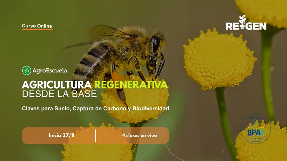 img-agricultura-regenerativa